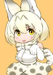 Rule 34 | animal ears, cats yone, gloves, kemono friends, kemono friends 3, necktie, shirt, skirt, tail, white serval (kemono friends)