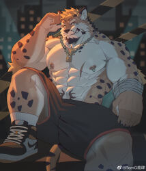 Rule 34 | 1boy, abs, absurdres, artist request, bandaged arm, bandages, bara, black shorts, chain, chain necklace, elbow rest, facial hair, foot out of frame, furry, furry male, goatee, highres, jewelry, large feet, large pectorals, lock necklace, looking at viewer, male focus, muscular, muscular male, necklace, nipple piercing, nipple rings, nipples, original, pectorals, piercing, romg, romg the jaguar, romg the tiger, second-party source, shoes, short hair, shorts, sitting, smirk, sneakers, solo, stomach, stomach tattoo, tattoo, thick arms, thick eyebrows, thick thighs, thighs, tiger boy, topless male