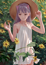 Rule 34 | 1girl, animal ears, artist name, bare shoulders, cat ears, closed mouth, collarbone, cowboy shot, day, dress, feiqizi (fkey), field, fkey, flower, flower field, grey hair, hand on headwear, hat, highres, long hair, looking to the side, original, outdoors, red eyes, solo, standing, sun hat, white dress