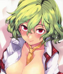 Rule 34 | 1girl, between breasts, breasts, cleavage, female focus, kazami yuuka, looking at viewer, necktie, open clothes, open shirt, red eyes, shirt, touhou, unbuttoned