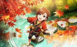 Rule 34 | 1boy, autumn, autumn leaves, brown eyes, brown hair, child, flipped hair, full body, highres, idolmaster, idolmaster side-m, idolmaster side-m live on stage!, japanese clothes, looking up, male focus, official art, open mouth, palms, pond, reflection, tachibana shiro (idolmaster), teeth, toenails, toes, upper teeth only, water