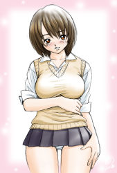 Rule 34 | 00s, 1girl, 2002, arm under breasts, artist name, bakunyuu oyako, blush, breasts, brown eyes, brown hair, brown sweater vest, collarbone, female focus, hand on leg, highres, large breasts, looking at viewer, lucky earth laboratory, matching hair/eyes, microskirt, milk junkies, milk junkies 3, miniskirt, panties, pantyshot, pink background, school uniform, shirt, signature, simple background, skirt, sleeves rolled up, smile, solo, standing, sweater vest, tatsunami youtoku, teeth, thigh gap, toyohara reina, underwear, white panties, white shirt