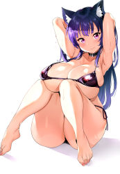 Rule 34 | 1girl, animal ear fluff, animal ears, armpits, arms behind head, bare arms, bare legs, bare shoulders, bikini, blush, breasts, cat ears, character request, cleavage, closed mouth, copyright request, feet, highres, large breasts, long hair, looking at viewer, micro bikini, pink eyes, purple bikini, purple hair, side-tie bikini bottom, simple background, sitting, solo, sweat, swimsuit, tem10, white background