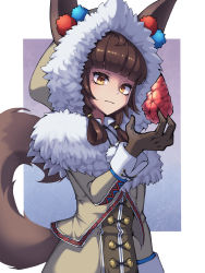 Rule 34 | 1girl, absurdres, blunt bangs, brown hair, coat, gloves, guardian tales, hand up, highres, hood, hooded coat, innuit girl coco, looking to the side, movcat, simple background, tail, wolf girl, wolf hood, wolf tail, yellow eyes