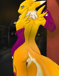 Rule 34 | digimon, digimon (creature), furry, leaning, looking back, pussy, renamon, smile, tagme, tail