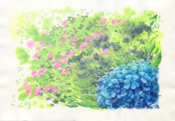 Rule 34 | blue flower, border, flower, grass, highres, hydrangea, no humans, original, pink flower, sawitou mizuki, scenery, traditional media, white border