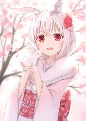 Rule 34 | 104, 1girl, :d, animal ears, blush, bob cut, cherry blossoms, chinese zodiac, commentary request, flower, hair flower, hair ornament, highres, holding animal, holding rabbit, japanese clothes, kimono, long sleeves, looking at viewer, medium hair, obi, obiage, obijime, open mouth, original, pink kimono, rabbit, rabbit ears, rabbit girl, red eyes, sash, smile, solo, teeth, tree, upper body, upper teeth only, white hair, year of the rabbit