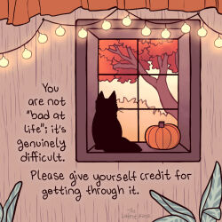 Rule 34 | artist name, black cat, cat, english text, indoors, lights, looking outside, no humans, original, plant, pumpkin, signature, thelatestkate, tree, window