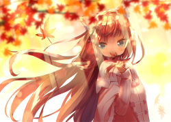 Rule 34 | 1girl, animal ear fluff, animal ears, autumn leaves, blue eyes, blurry, blurry foreground, blush, branch, brown hair, commentary request, covered mouth, depth of field, floating hair, hamaru (s5625t), hand up, holding, holding leaf, leaf, long hair, long sleeves, looking away, looking to the side, maple leaf, original, pink sweater, poncho, ribbed sweater, sleeves past wrists, solo, sweater, upper body, very long hair