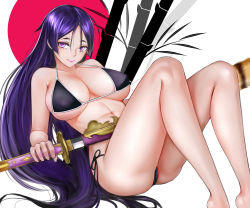 Rule 34 | 1girl, bikini, black bikini, breasts, closed mouth, commentary request, fate/grand order, fate (series), highres, holding, holding sword, holding weapon, katana, knees up, large breasts, long hair, looking at viewer, minamoto no raikou (fate), purple eyes, purple hair, sheath, simple background, sitting, smile, solo, swimsuit, sword, unsheathing, very long hair, weapon, ytoy