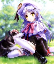 Rule 34 | 1girl, :o, absurdres, angel beats!, bat hair ornament, belka, beret, blurry, blush, boots, bow, cape, company connection, cosplay, cross-laced footwear, depth of field, dog, goto p, grass, hair ornament, hat, headpat, highres, key (company), little busters!, long hair, noumi kudryavka, noumi kudryavka (cosplay), on ground, plaid, plaid skirt, pleated skirt, scan, school uniform, silver hair, sitting, skirt, strelka, sunlight, tenshi (angel beats!), thighhighs, tongue, tongue out, tree, white thighhighs, yellow eyes