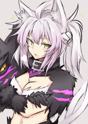 Rule 34 | 1girl, animal ear fluff, animal ears, atalanta (fate), atalanta alter (fate), black collar, braid, breasts, cat ears, cat tail, cleavage, collar, crossed arms, fang, fate/apocrypha, fate/grand order, fate (series), french braid, grey background, multicolored hair, sigh, simple background, skin fang, solo, tail, yellow eyes