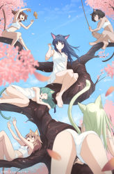 Rule 34 | 6+girls, :d, absurdres, animal ears, aqua hair, ass, barefoot, black eyes, blue hair, bra, branch, breasts, brown eyes, brown hair, cat ears, cat girl, cat tail, claw pose, closed eyes, commentary request, dress, fishing rod, green hair, grin, highres, in tree, light brown hair, long hair, lying, medium hair, multiple girls, on back, on side, open mouth, original, outdoors, panties, raiz art works, short hair, sitting, sitting in tree, sleeping, sleeveless, sleeveless dress, small breasts, smile, strap pull, tail, teeth, toes, tree, underwear, white bra, white dress, white panties