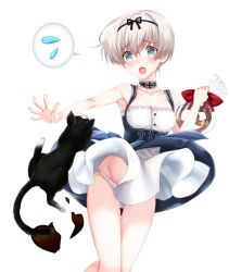 Rule 34 | 10s, 1girl, :o, adapted costume, alternate costume, animal, armpits, bag, baretto, baretto (firearms 1), black cat, black ribbon, blue eyes, blush, bow, breasts, broken heart, buttons, candy, cat, chocolate, chocolate heart, choker, cleavage, clothes lift, collarbone, convenient skirt, cross, dirndl, dress, dress lift, eyebrows, food, german clothes, gluteal fold, groin, hairband, heart, holding, holding food, iron cross, kantai collection, medium breasts, outstretched arm, panties, pantyshot, plastic bag, pretzel, red bow, red lips, ribbon, short hair, silver hair, simple background, sleeveless, spoken sweatdrop, spread fingers, standing, sweatdrop, thigh gap, transparent, underbust, underwear, unsinkable sam, white background, white panties, worried, z1 leberecht maass (kancolle), z1 leberecht maass (oktoberfest mode) (kancolle)