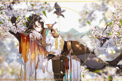 Rule 34 | 1boy, animal, animal on shoulder, armor, bird, bird on shoulder, black footwear, black hair, blurry, boots, brown robe, cape, chinese clothes, closed mouth, curtained hair, day, depth of field, flower, gourd, grey pants, hair between eyes, hair flower, hair ornament, highres, holding, holding gourd, in tree, jacket, knee boots, knees together feet apart, layered sleeves, long sleeves, looking at animal, lying, male focus, mountain, multicolored cape, multicolored clothes, nieorst, on side, orange cape, pants, plum blossoms, robe, short hair, shoulder armor, sideways glance, smile, solo, taibai duck (the tale of food), tassel, the tale of food, tree, white cape, white flower, white jacket, yellow eyes