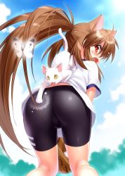 Rule 34 | 1girl, angry, animal, animal ears, ass, baseball, baseball glove, bike shorts, brown hair, bug, butterfly, cat, cloud, fang, gym uniform, bug, long hair, looking back, open mouth, ponytail, red eyes, sky, spanked, spanking, playing sports, white cat, yellow eyes