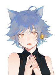 Rule 34 | animal ears, blue hair, cat ears, cute &amp; girly (idolmaster), highres, idolmaster, orange eyes, simple background, white background, yao (kiwi hiu)