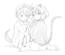 Rule 34 | akino sora, animal ears, ass, barefoot, blood, bottomless, cat ears, cat tail, eila ilmatar juutilainen, feet, looking back, monochrome, nosebleed, sanya v. litvyak, sitting, strike witches, tail, world witches series