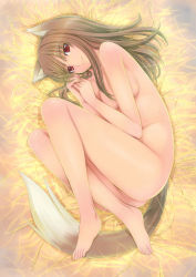 Rule 34 | 00s, animal ears, barefoot, breasts, brown hair, feet, holo, long hair, lying, mikazuki akira!, nude, red eyes, spice and wolf, tail, wolf ears