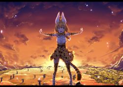 Rule 34 | 10s, 1girl, :d, animal ears, animal print, backlighting, blonde hair, blouse, blush, boots, breasts, commentary request, elbow gloves, gloves, high-waist skirt, highres, kemono friends, legs apart, letterboxed, light particles, looking at viewer, medium breasts, open mouth, outdoors, outstretched arms, revision, savannah, serval (kemono friends), serval print, serval tail, shirt, short hair, skirt, sleeveless, smile, solo, standing, sunset, tail, thighhighs, ugume, white shirt, yellow eyes