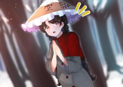 Rule 34 | 1girl, ajirogasa, bare tree, black hair, blurry, blurry background, braid, buttons, capelet, commentary request, dress, dutch angle, frilled hat, frills, grey dress, hat, highres, long hair, long sleeves, looking at viewer, majime joe, notice lines, open mouth, outdoors, own hands together, palms together, red capelet, red eyes, snow, solo, touhou, tree, twin braids, upper body, yatadera narumi
