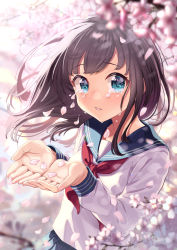Rule 34 | 1girl, absurdres, blue eyes, blue skirt, blurry, blurry background, branch, brown hair, cherry blossoms, crying, crying with eyes open, day, depth of field, hands held apart, highres, looking at viewer, neckerchief, open mouth, original, outdoors, own hands together, petals, pleated skirt, sad, sailor collar, school uniform, shirt, skirt, taiga (ryukyu-6102-8), tearing up, tears, translation request, uniform, white shirt