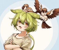 Rule 34 | 1girl, :3, alternate costume, animal, animal on head, bird, bird on head, bird request, blue background, blush, brown shirt, commentary request, crossed arms, dutch angle, green hair, highres, long hair, looking at animal, looking up, low ponytail, multicolored background, natsu tuna, off shoulder, on head, open mouth, orange eyes, raised eyebrows, shirt, short sleeves, solo, spaghetti strap, upper body, voicevox, white background, zundamon