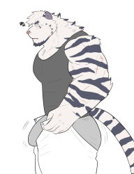 Rule 34 | 1boy, absurdres, animal ears, arknights, artist request, ass, bara, black tank top, bulge, dressing, facial hair, flat color, furry, furry male, goatee, grey male underwear, highres, i&#039;ve never seen a guy recreate this successfully tbh (meme), male focus, male underwear, meme, motion lines, mountain (arknights), muscular, muscular male, open pants, pants, pants lift, pectorals, scar, scar across eye, scar on arm, short hair, solo, squiggle, tank top, thick eyebrows, thick thighs, thighs, tiger boy, tiger ears, undersized clothes, underwear, white hair