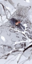 Rule 34 | 1boy, akai 999, arknights, black hair, blue jacket, branch, commentary request, doctor (arknights), closed eyes, grey background, highres, hood, hood up, jacket, male doctor (arknights), male focus, snow leopard, solo, upper body