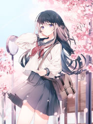 Rule 34 | 1girl, a20 (atsumaru), arm up, bag, black hair, blue sailor collar, blue skirt, blue sky, blush, cherry blossoms, closed mouth, copyright request, flower, hand on own face, highres, holding, holding bag, leather bag, long hair, long sleeves, looking at viewer, mirror, neckerchief, official art, outdoors, pink flower, pleated skirt, purple eyes, red neckerchief, sailor collar, school uniform, serafuku, shirt, skirt, sky, solo, standing, tree, white shirt