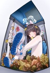Rule 34 | 1girl, absurdres, ahoge, animal ears, black gloves, black hair, blue archive, blush, bright pupils, cellphone, closed mouth, comodomodo, drinking, fake animal ears, gloves, green gloves, green neckerchief, halo, highres, holding, holding phone, in trash can, leaf, leaf on head, long hair, long sleeves, miyu (blue archive), neckerchief, pantyhose, phone, rabbit ears, red eyes, shoes, smartphone, solo, trash can, two-tone gloves, white footwear, white pantyhose, white pupils