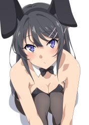 Rule 34 | 1girl, absurdres, animal ears, bare shoulders, black bow, black bowtie, black hair, black leotard, blue eyes, blush, bow, bowtie, breast press, breasts, breasts squeezed together, brown pantyhose, collar, collarbone, detached collar, fake animal ears, highres, knees to chest, leotard, long hair, looking at viewer, medium breasts, pantyhose, playboy bunny, rabbit ears, sakurajima mai, seishun buta yarou, shou937, simple background, sitting, solo, strapless, strapless leotard, very long hair, white background, white collar