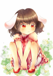 Rule 34 | 1girl, animal ears, bad id, bad pixiv id, black hair, bloomers, brown hair, rabbit ears, dress, floral background, flower, inaba tewi, jitome, orange eyes, ribbon-trimmed clothes, ribbon-trimmed sleeves, ribbon-trimmed underwear, ribbon trim, rira fuuka, short hair, sitting, solo, touhou, underwear