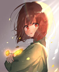 Rule 34 | 1other, animification, blush, brown hair, chara (undertale), crying, crying with eyes open, flower, golden flower (undertale), gradient background, green sweater, grey background, heart, heart necklace, highres, jewelry, light, looking at viewer, necklace, open mouth, petals, red eyes, short hair, simple background, solo, standing, sweater, tears, turtleneck, turtleneck sweater, undertale, yuri (miiiiikun0515)