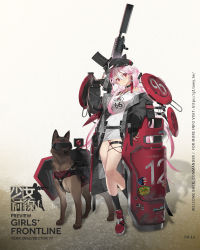 Rule 34 | 1girl, bahao diqiu, ballistic shield, black choker, black gloves, black jacket, black nails, black socks, breasts, character name, choker, closed mouth, combat shotgun, commentary request, copyright name, dog, fingerless gloves, fo-12 (girls&#039; frontline), fostech origin-12, fostech outdoors, full body, girls&#039; frontline, gloves, gun, hair between eyes, hair ornament, hairclip, highres, holding, holding gun, holding shield, holding weapon, jacket, large breasts, legs, long hair, looking at viewer, nail polish, official art, open clothes, open jacket, pink eyes, pink hair, polygonal suppressor, promotional art, red footwear, salvo 12, semi-automatic firearm, semi-automatic shotgun, shield, shield module, shirt, shoes, shotgun, silencerco, simple background, smile, sneakers, socks, solo, standing, suppressor, weapon, white shirt