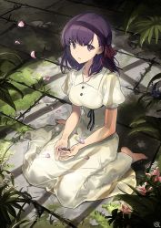 Rule 34 | 1girl, bare arms, barefoot, black ribbon, breasts, buttons, collared dress, commentary request, dress, fate/stay night, fate (series), full body, grass, hair ribbon, heaven&#039;s feel, indoors, long hair, looking at viewer, matou sakura, medium breasts, nagu, official alternate costume, parted lips, plant, puffy short sleeves, puffy sleeves, purple eyes, purple hair, red ribbon, revision, ribbon, short sleeves, sitting, solo, wariza, white dress