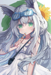 Rule 34 | 1girl, alternate costume, animal ears, arknights, blue-framed eyewear, blush, camera, camera around neck, candy, cat-shaped eyewear, cat ears, cat girl, commentary, cowboy shot, dress, eating, eyewear on head, food, food in mouth, green eyes, highres, long hair, looking at viewer, nalphanne, rosmontis (arknights), sidelocks, solo, spaghetti strap, sundress, white dress, white hair