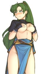 Rule 34 | 1girl, absurdres, bare legs, breasts, clothes lift, covering privates, covering breasts, earrings, embarrassed, fingerless gloves, fire emblem, fire emblem: the blazing blade, gloves, green eyes, green hair, highres, jewelry, large breasts, long hair, looking away, lyn (fire emblem), nintendo, pelvic curtain, ponytail, shirt lift, transparent background, tridisart