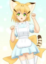 Rule 34 | 10s, 1girl, absurdres, alternate costume, animal ears, apron, bad id, bad pixiv id, blonde hair, bow, cat ears, cat tail, dress, enmaided, green eyes, highres, kemono friends, maid, multicolored hair, open mouth, paw pose, sand cat (kemono friends), shiraha maru, short hair, tail, thighhighs, white thighhighs