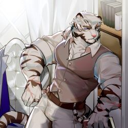 Rule 34 | 1boy, alternate costume, alternate hairstyle, animal ears, arknights, bara, bulge, collared shirt, facial hair, feet out of frame, from above, frown, furry, furry male, goatee, highres, jewelry, large pectorals, looking at viewer, male focus, mountain (arknights), muscular, muscular male, pants, pectoral cleavage, pectorals, ring, scar, scar across eye, shirt, short hair, sleeves rolled up, solo, standing, swkrqgefvm4pims, thick eyebrows, tiger boy, tiger ears, vest, white hair