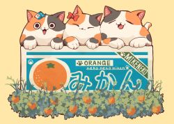 Rule 34 | :3, animal focus, black cat, bow, box, brown cat, calico, cardboard box, cat, cheek-to-cheek, closed eyes, commentary request, facing viewer, fish hair ornament, food, fruit, grass, hair bow, hair ornament, heads together, in box, in container, looking at viewer, mandarin orange, no humans, oimo imoo, open mouth, original, red bow, romaji text, simple background, smile, white cat, yellow background
