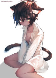 Rule 34 | 1girl, animal ear fluff, animal ears, blush, breasts, brown hair, cat ears, cat girl, cat tail, closed mouth, collarbone, dress shirt, ears down, feet out of frame, hair between eyes, long sleeves, looking at viewer, mole, mole on breast, naked shirt, original, partially unbuttoned, shadow, shirt, short hair, simple background, sitting, small breasts, solo, suzuho hotaru, tail, twitter username, v arms, white background, white shirt, wing collar, yellow eyes, yokozuwari