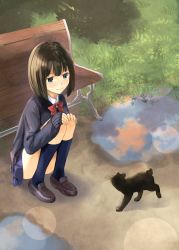 Rule 34 | 1girl, ashiya hiro, bench, black hair, blue eyes, blue sky, blue socks, blush, brown footwear, cat, closed mouth, day, grass, hands on own knees, highres, kneehighs, light smile, loafers, looking at another, original, outdoors, puddle, reflection, school uniform, shoes, short hair, sky, sleeves past wrists, socks, solo, squatting, sweater, tears