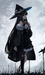 Rule 34 | 1girl, absurdres, amamizu shizuku, animal, bare shoulders, bird, black dress, black hair, black hat, black jacket, black legwear, breasts, closed mouth, cloud, cloudy sky, commentary request, copyright request, dress, from side, fur-trimmed jacket, fur trim, hand up, hat, highres, holding, jacket, long hair, long sleeves, medium breasts, off-shoulder jacket, off shoulder, outdoors, power lines, puffy long sleeves, puffy sleeves, red eyes, single leg pantyhose, sky, sleeveless, sleeveless dress, smile, solo, standing, utility pole, very long hair, virtual youtuber, witch hat
