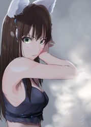 Rule 34 | 1girl, animal ears, arm up, armpits, bare arms, bare shoulders, breasts, brown hair, cat ears, cleavage, crop top, cropped shirt, from side, green eyes, hair ornament, hand on own cheek, hand on own face, haruichi (komikal), long hair, looking at viewer, medium breasts, original, shirt, sleeveless, sleeveless shirt, solo, torn clothes, upper body