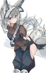Rule 34 | 1girl, absurdres, animal ears, arknights, black gloves, blue eyes, blue pants, blush, brown shirt, commentary, elbow gloves, feet out of frame, gloves, grani (arknights), grey hair, hair between eyes, highres, hip vent, horse ears, horse girl, horse tail, knee pads, leaning forward, long hair, looking at viewer, mikozin, pants, ponytail, shirt, simple background, solo, symbol-only commentary, tail, white background