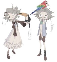 Rule 34 | 1other, animal, bird, black socks, blue jacket, brown footwear, brown shorts, chinese text, dress, frilled dress, frills, grey hair, heterochromia, highres, jacket, looking at another, meyou 0319, original, parrot, shorts, socks, toucan, white background