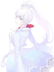Rule 34 | 1girl, breasts, female focus, large breasts, rwby, simple background, solo, tagme, weiss schnee, white hair