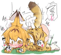 Rule 34 | 10s, 1girl, all fours, animal ears, bad id, bad pixiv id, belt, blush, boots, brown belt, disembodied limb, elbow gloves, g perarikku, gloves, grass, hair between eyes, heart, high-waist skirt, horizontal-striped panties, kemono friends, miniskirt, multicolored clothes, multicolored panties, orange eyes, orange hair, orange pupils, panties, saliva, serval (kemono friends), serval print, serval tail, shirt, short hair, skirt, sleeveless, sleeveless shirt, solo, speech bubble, spoken squiggle, squiggle, striped clothes, striped panties, striped tail, sweat, tail, tail raised, thighhighs, top-down bottom-up, two-tone panties, underwear, wavy mouth, white background, white footwear, white panties, white shirt, yellow gloves, yellow panties, yellow skirt, yellow thighhighs