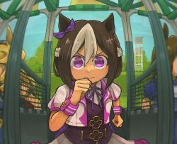 Rule 34 | 3girls, animal ears, bow, clenched hands, closed mouth, collared shirt, cropped jacket, ear bow, feet out of frame, fisheye, horse ears, jiima tarou, looking at viewer, montjeu (umamusume), multicolored hair, multiple girls, neck ribbon, outdoors, purple eyes, ribbon, shirt, short hair, short sleeves, skirt, special week (umamusume), starting gate, two-tone hair, umamusume, v-shaped eyebrows, vest, white shirt, white skirt, wrist cuffs